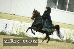 24R13_09192 thumbnail