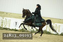 24R13_09193 thumbnail