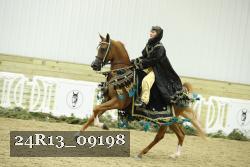 24R13_09198 thumbnail