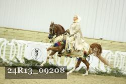 24R13_09208 thumbnail