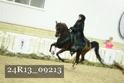 24R13_09213 thumbnail
