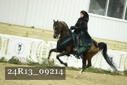 24R13_09214 thumbnail