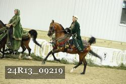 24R13_09219 thumbnail