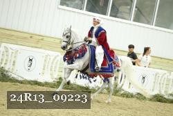 24R13_09223 thumbnail