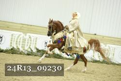 24R13_09230 thumbnail