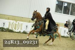 24R13_09231 thumbnail