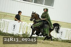 24R13_09245 thumbnail