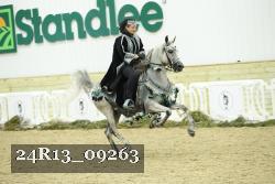 24R13_09263 thumbnail