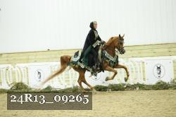 24R13_09265 thumbnail