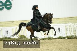 24R13_09267 thumbnail