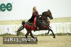24R13_09270 thumbnail