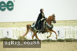 24R13_09288 thumbnail