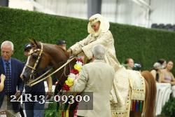 24R13_09300 thumbnail
