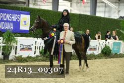 24R13_09307 thumbnail