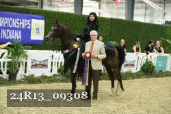 24R13_09308 thumbnail