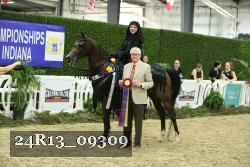24R13_09309 thumbnail