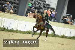 24R13_09310 thumbnail