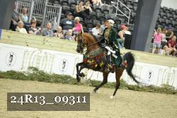 24R13_09311 thumbnail