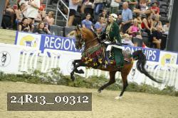 24R13_09312 thumbnail