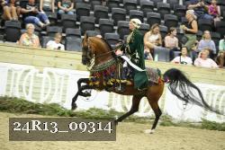 24R13_09314 thumbnail
