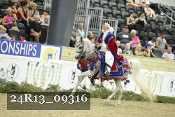 24R13_09316 thumbnail