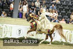 24R13_09330 thumbnail