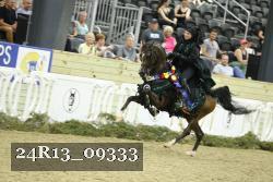 24R13_09333 thumbnail