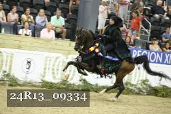 24R13_09334 thumbnail
