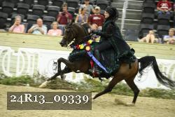 24R13_09339 thumbnail