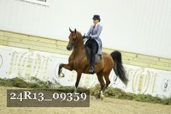 24R13_09359 thumbnail