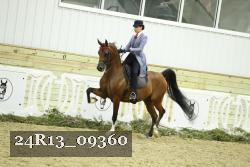 24R13_09360 thumbnail