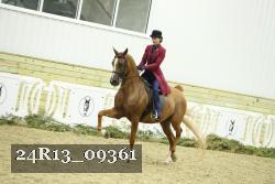 24R13_09361 thumbnail