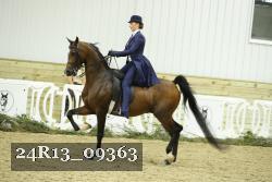 24R13_09363 thumbnail