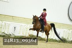 24R13_09364 thumbnail