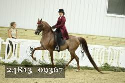24R13_09367 thumbnail