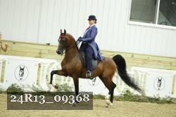 24R13_09368 thumbnail
