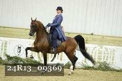 24R13_09369 thumbnail