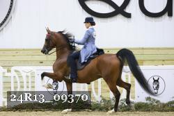 24R13_09370 thumbnail