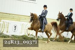 24R13_09371 thumbnail