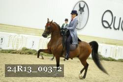 24R13_09372 thumbnail