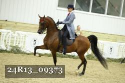 24R13_09373 thumbnail