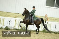 24R13_09374 thumbnail