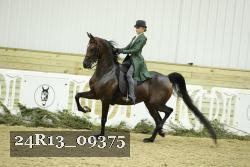24R13_09375 thumbnail