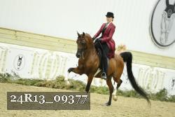 24R13_09377 thumbnail