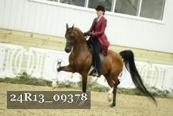 24R13_09378 thumbnail