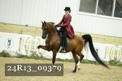 24R13_09379 thumbnail