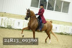 24R13_09380 thumbnail