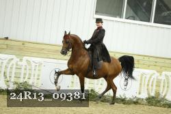 24R13_09381 thumbnail