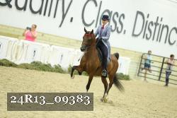 24R13_09383 thumbnail
