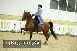 24R13_09386 thumbnail